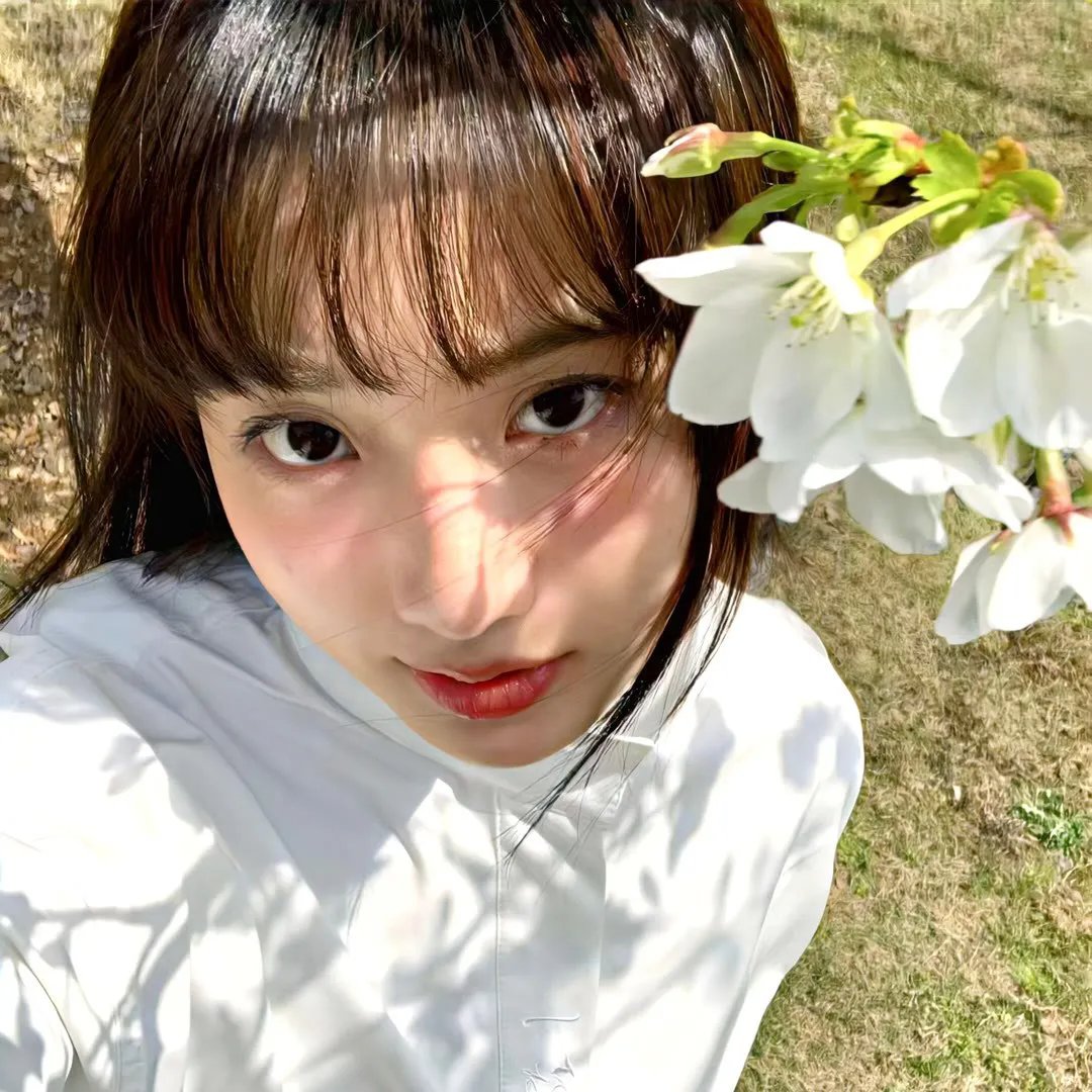 孤鸟罗宾