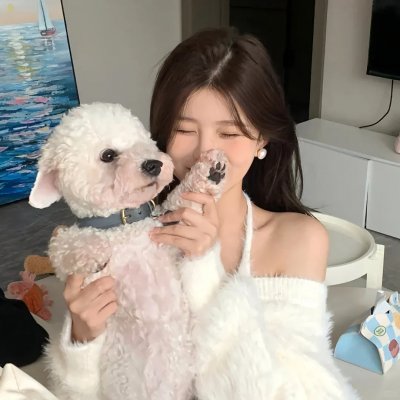 我家的律师很麻烦