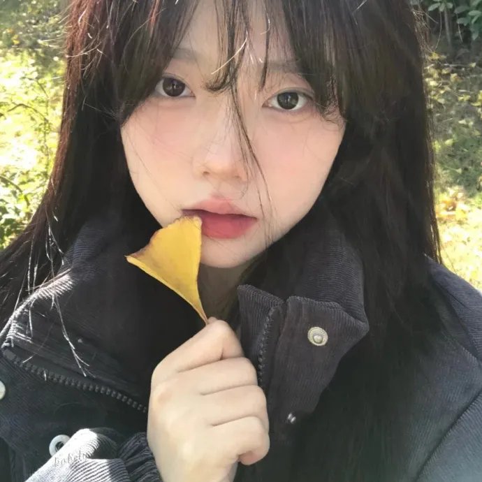 小迪兹的完美观念